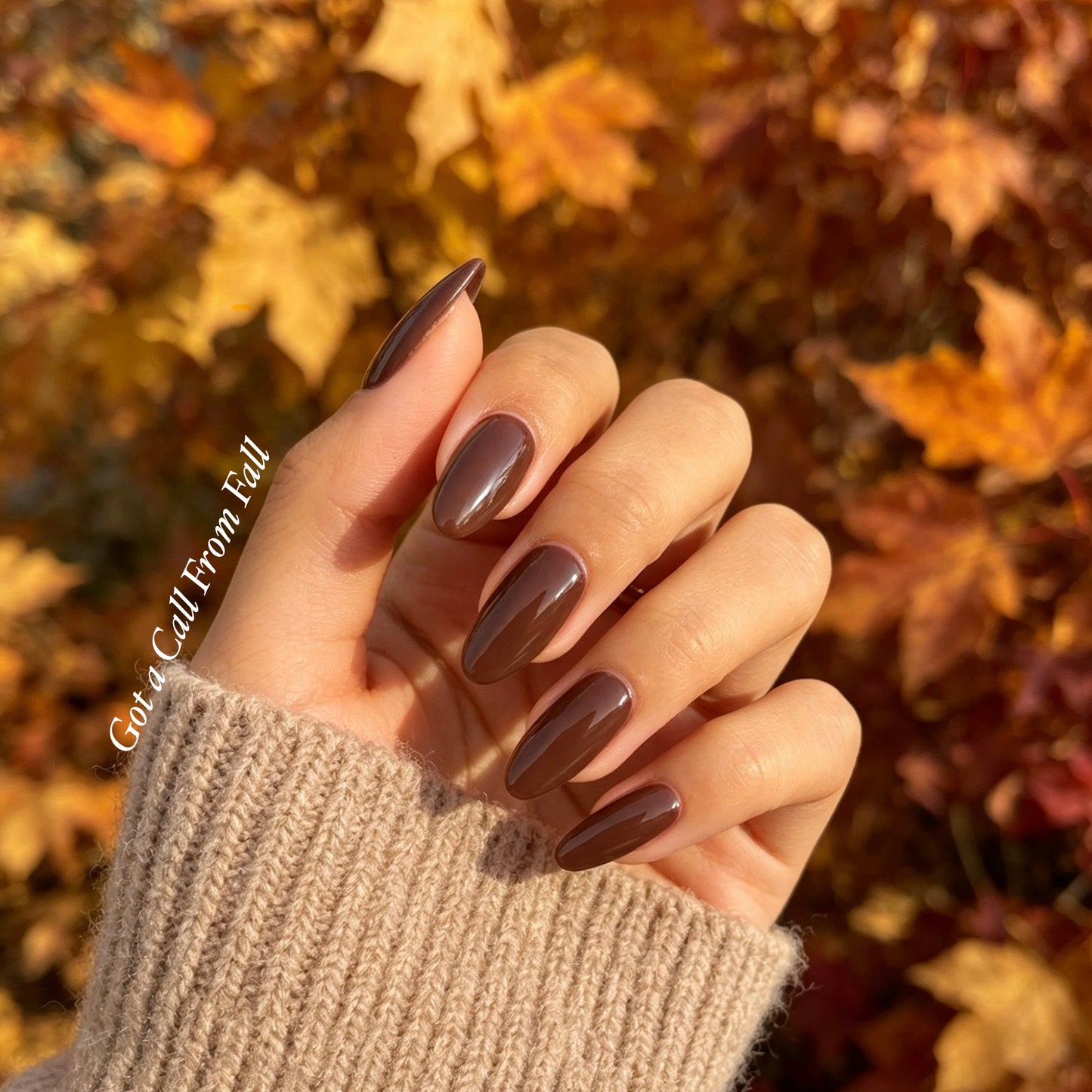 "Gel It Up" Gel Polish - Pumpkin Spice and all things Nice!